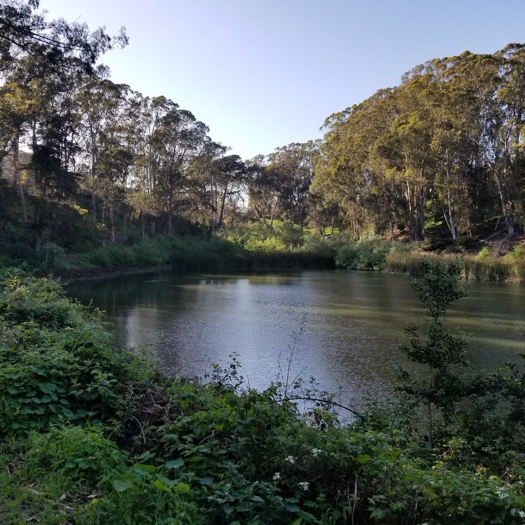 Pine Lake Park 1